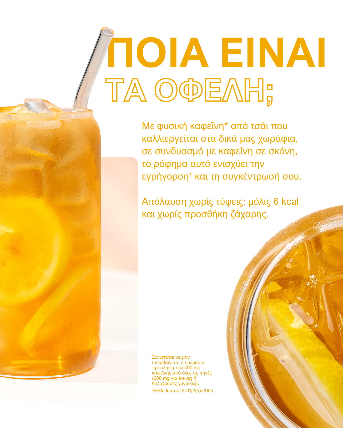 Στιγμιαίο Ρόφημα Βοτάνων με εκχυλίσματα τσαγιού